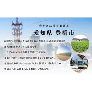 ふるさと納税 フィッシング 愛知県 豊橋市 本...の詳細画像2