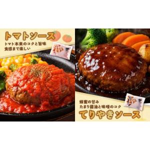 ふるさと納税 肉 ハンバーグ 福岡県 福智町 ...の詳細画像4