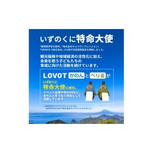 ふるさと納税 電化製品 静岡県 伊豆の国市 寄...の詳細画像3
