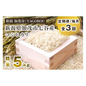 ふるさと納税 米 コシヒカリ 新潟県 加茂市 令和8年産新米先行予約 定期便3ヶ月毎月お届け 新潟県加茂市 七谷産コシヒカリ 精米5kg 《10月上旬〜順次出荷》 …