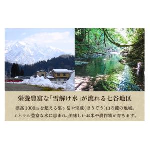 ふるさと納税 米 コシヒカリ 新潟県 加茂市 ...の詳細画像3