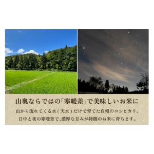 ふるさと納税 米 コシヒカリ 新潟県 加茂市 ...の詳細画像4