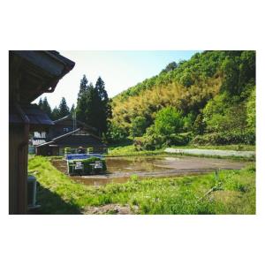 ふるさと納税 米 コシヒカリ 新潟県 加茂市 ...の詳細画像5
