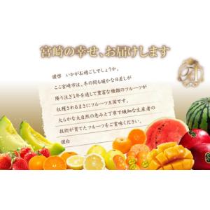 ふるさと納税 果物類 みかん 宮崎県 宮崎市 ...の詳細画像2