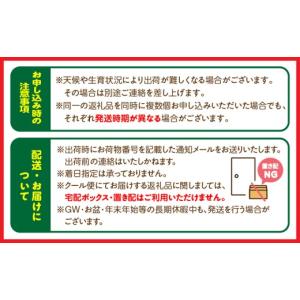 ふるさと納税 果物類 みかん 宮崎県 宮崎市 ...の詳細画像3