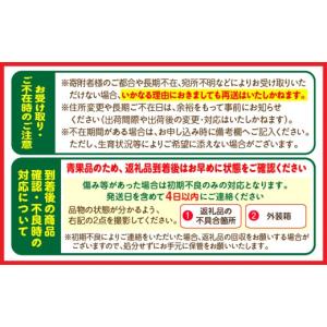 ふるさと納税 果物類 みかん 宮崎県 宮崎市 ...の詳細画像4