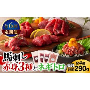ふるさと納税 馬肉 熊本県 山鹿市 全6回定期便 熊本特産 赤身馬刺し3種とネギトロの詰め合わせ 3891 有限会社スイートサプライなかぞの ZDT174