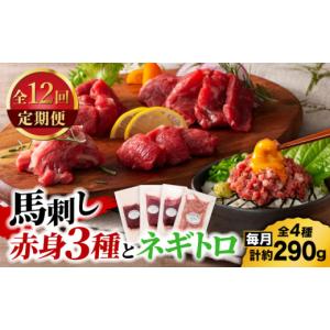 ふるさと納税 馬肉 熊本県 山鹿市 全12回定...の詳細画像1