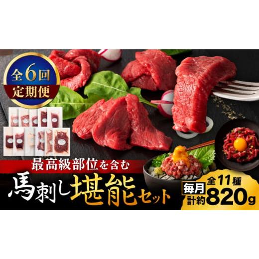 ふるさと納税 馬肉 熊本県 山鹿市  全6回定期便 「熊本特産」フジチクオリジナル ふじ馬刺し堪能セ...