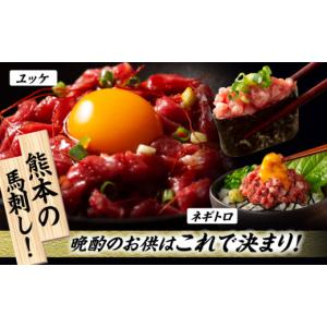 ふるさと納税 馬肉 熊本県 山鹿市 全12回定...の詳細画像5