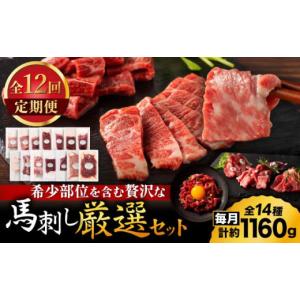 ふるさと納税 馬肉 熊本県 山鹿市 全12回定期便 フジチクオリジナル 希少部位と贅沢なふじ馬刺し厳選セット 3897 有限会社スイートサプライなかぞの ZDT193