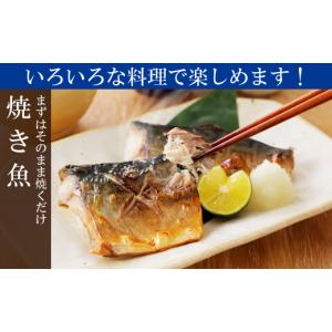 ふるさと納税 魚貝類 岩手県 久慈市 「久慈港...の詳細画像3