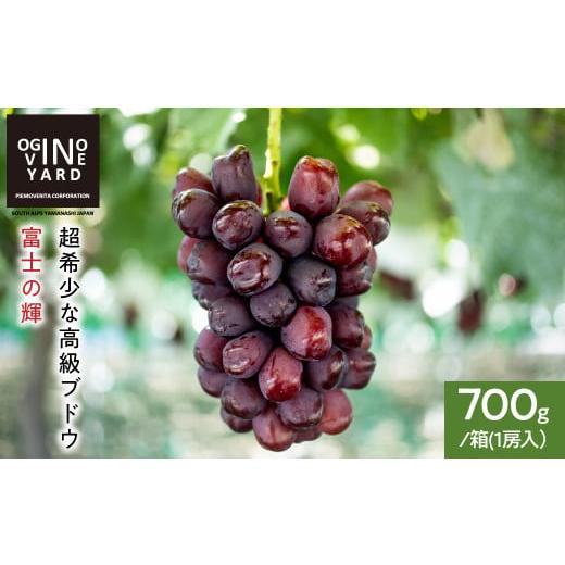 ふるさと納税 果物類 ぶどう 山梨県 南アルプス市  2026年秋収穫先行予約_9月中旬〜発送 山梨...