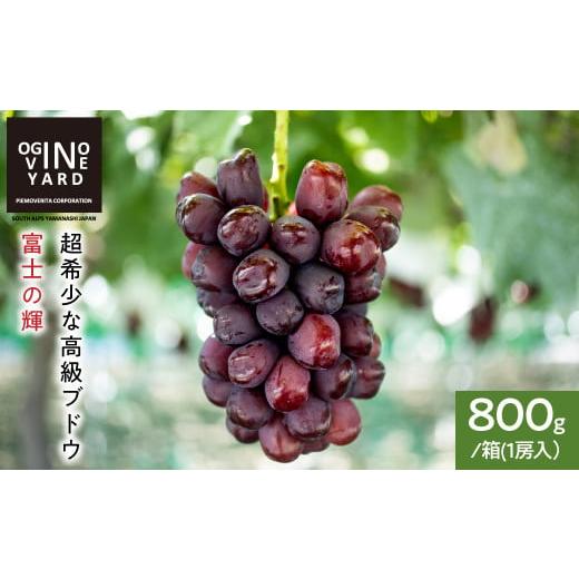 ふるさと納税 果物類 ぶどう 山梨県 南アルプス市  2026年秋収穫先行予約_9月中旬〜発送 山梨...