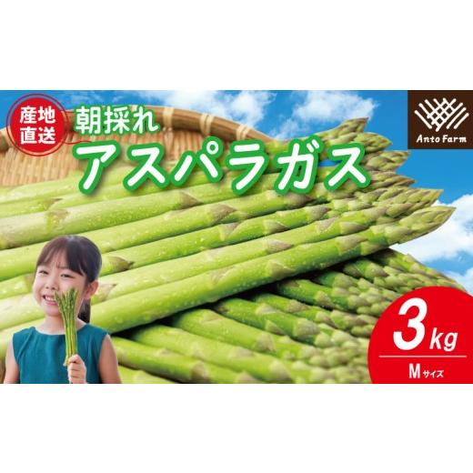 ふるさと納税 野菜類 アスパラガス 徳島県 - アスパラガス Mサイズ 3kg 《3月から出荷開始 ...