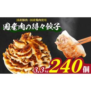 ふるさと納税 餃子 山口県 下関市 訳あり 国産肉の得々餃子 240個 20個×12パック 冷凍 小分け 日指定可 たれ付き 大容量 ぎょうざ ギョウザ ギョーザ 国産肉…｜ふるさとチョイス