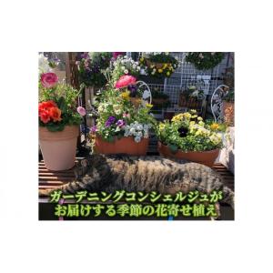 ふるさと納税 雑貨・日用品 花 京都府 南丹市...の詳細画像1