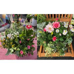 ふるさと納税 雑貨・日用品 花 京都府 南丹市...の詳細画像2
