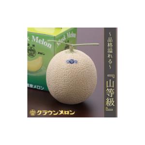 ふるさと納税 メロン 静岡県 掛川市 通年出荷...の詳細画像2