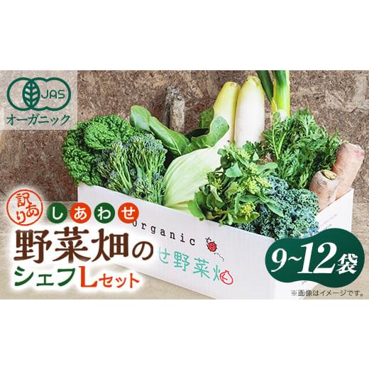 ふるさと納税 野菜類 静岡県 掛川市 しあわせ野菜畑のシェフLセット　(訳あり規格外の有機野菜を一部...