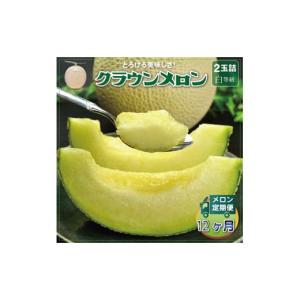 ふるさと納税 メロン 静岡県 掛川市 毎月定期便 クラウンメロン(白等級) 2玉 全12回 4012626