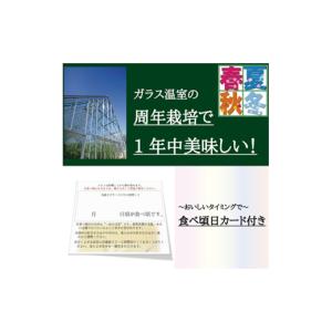 ふるさと納税 メロン 静岡県 掛川市 毎月定期...の詳細画像4