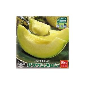 ふるさと納税 メロン 静岡県 掛川市 毎月定期便 訳あり クラウンメロン 2玉 全12回 4012650