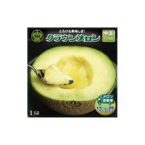 ふるさと納税 メロン 静岡県 掛川市 毎月定期...の詳細画像1