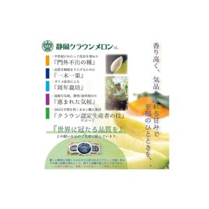ふるさと納税 メロン 静岡県 掛川市 毎月定期...の詳細画像3