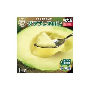 ふるさと納税 メロン 静岡県 掛川市 毎月定期便 クラウンメロン 白等級 特大 1玉 静岡県産 高級マスクメロン 1年中お届け 全12回 4012659