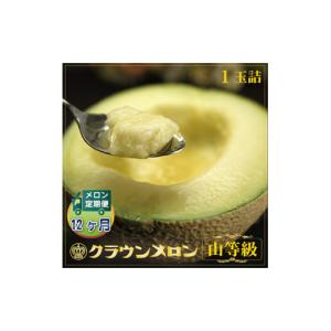 ふるさと納税 メロン 静岡県 掛川市 毎月定期...の詳細画像1