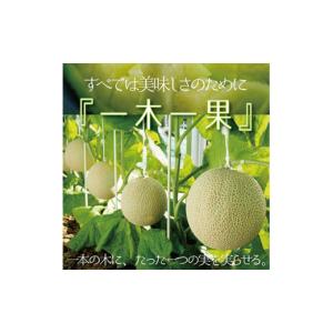 ふるさと納税 メロン 静岡県 掛川市 毎月定期...の詳細画像2