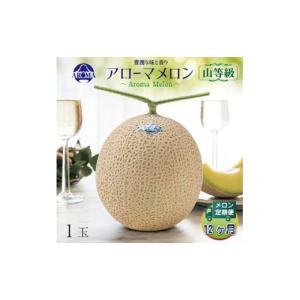 ふるさと納税 メロン 静岡県 掛川市 毎月定期便 アローマメロン(山等級) 1玉 全12回 4013000