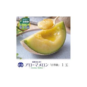 ふるさと納税 メロン 静岡県 掛川市 毎月定期便...の商品画像