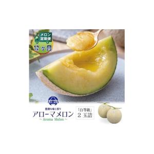 ふるさと納税 メロン 静岡県 掛川市 毎月定期便 アローマメロン(白等級) 2玉 全12回 4013006