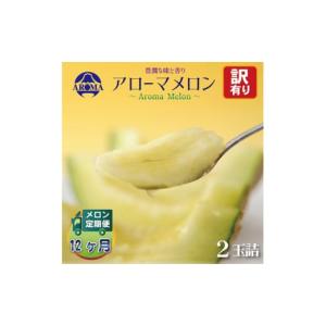 ふるさと納税 メロン 静岡県 掛川市 毎月定期便 訳あり アローマメロン 2玉 全12回 4013211