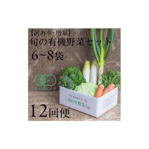 ふるさと納税 野菜類 静岡県 掛川市  毎月定期便 しあわせ野菜畑のシェフS セット　(訳あり規格外...