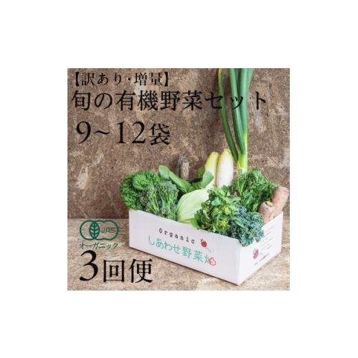 ふるさと納税 野菜類 静岡県 掛川市  毎月定期便 しあわせ野菜畑のシェフLセット(訳あり規格外の有...