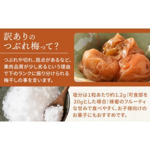 ふるさと納税 加工品等 梅干 和歌山県 那智勝...の詳細画像4