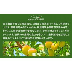 ふるさと納税 加工品等 梅干 和歌山県 那智勝...の詳細画像5