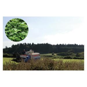 ふるさと納税 食用油 植物油 茨城県 阿見町 ...の詳細画像4