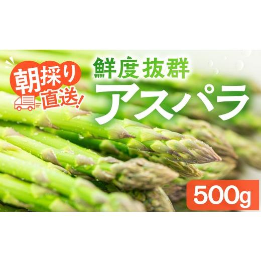 ふるさと納税 野菜類 アスパラガス 岐阜県 高山市  2026年発送・先行受付 ひだっこアスパラ 5...