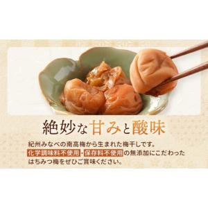 ふるさと納税 加工品等 梅干 和歌山県 九度山...の詳細画像2