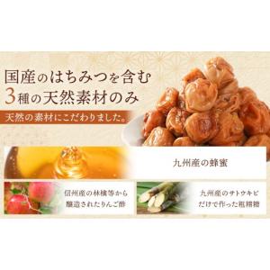 ふるさと納税 加工品等 梅干 和歌山県 九度山...の詳細画像3