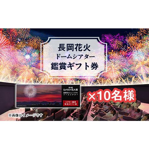 ふるさと納税 体験チケット 新潟県 長岡市 H8-04A 長岡花火 ドームシアター鑑賞ギフト券×10...