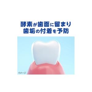 ふるさと納税 雑貨・日用品 兵庫県 明石市 ラ...の詳細画像5