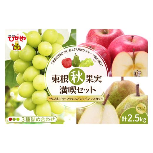 ふるさと納税 ぶどう マスカット 山形県 東根市  2026年産 東根秋果実満喫セット サンふじ＆ラ...