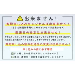 ふるさと納税 魚貝類 ホタテ 北海道 森町 訳...の詳細画像2