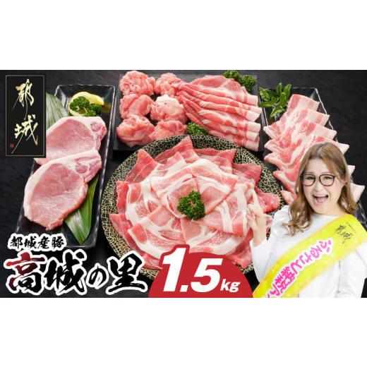 ふるさと納税 豚肉 セット 宮崎県 都城市 「高城の里」わくわく1.5kgセット(真空)_12-84...