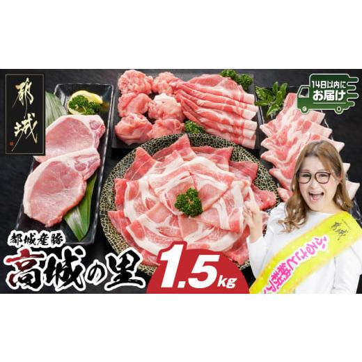 ふるさと納税 豚肉 セット 宮崎県 都城市 「高城の里」わくわく1.5kgセット(真空) みやこんじ...